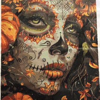 "Day of the Dead" Framed Paint By Number 16" x 20"