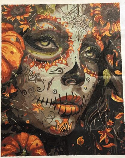"Day of the Dead" Framed Paint By Number 16" x 20"